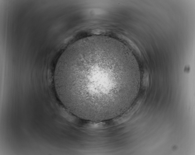 X0000103160569200808221357