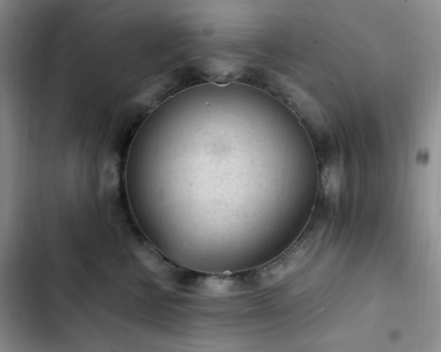 X0000103160570200808221357