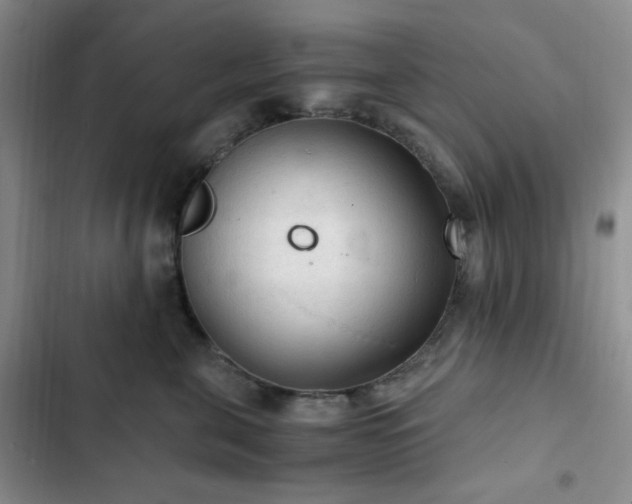 X0000103160571200808221357
