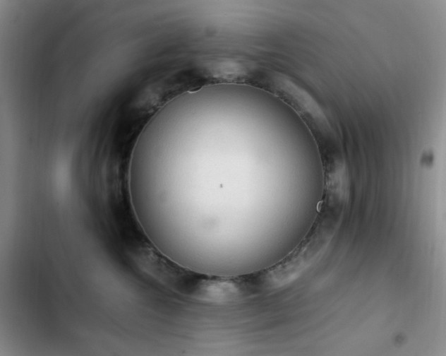 X0000103160572200808221357