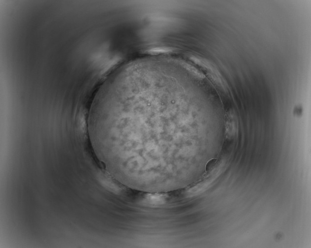 X0000103160573200808221357