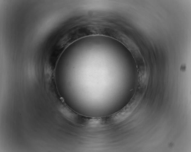 X0000103160574200808221357