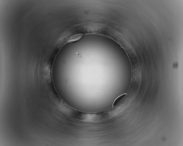 X0000103160575200808221357