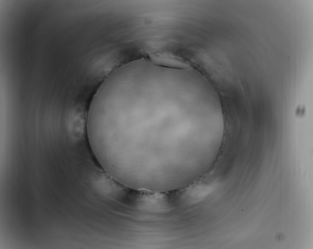 X0000103160576200808221357