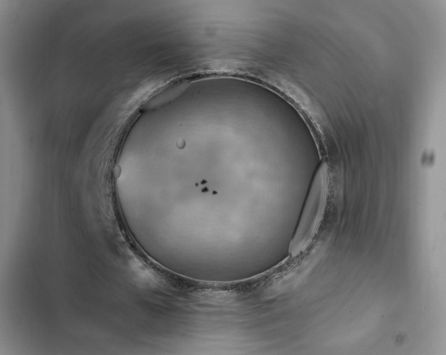 X0000103160577200808221356