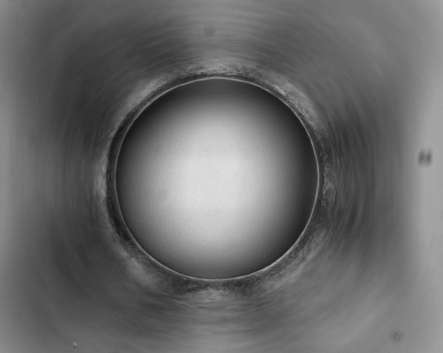 X0000103160578200808221356