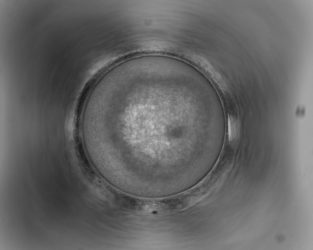 X0000103160579200808221356
