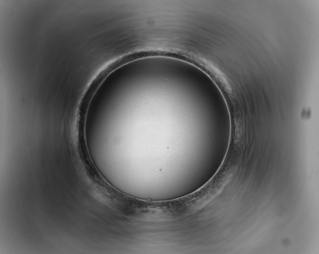 X0000103160580200808221356