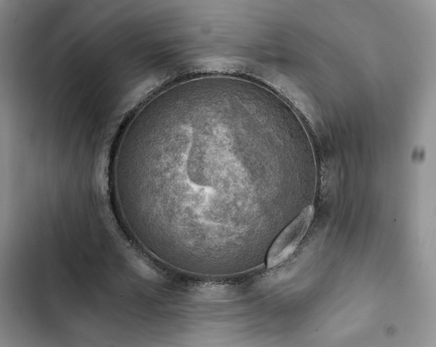 X0000103160581200808221356