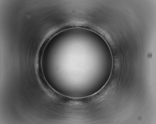 X0000103160582200808221356