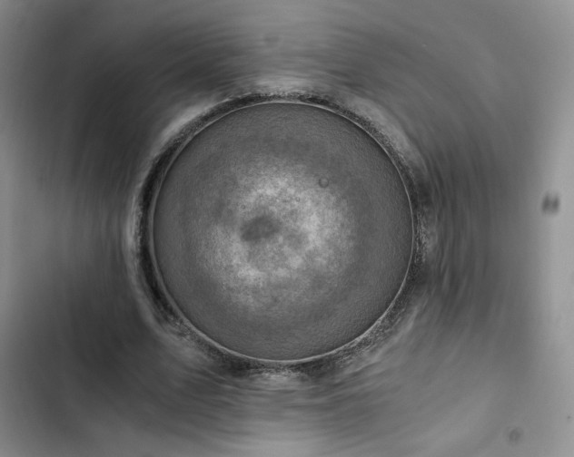 X0000103160583200808221356