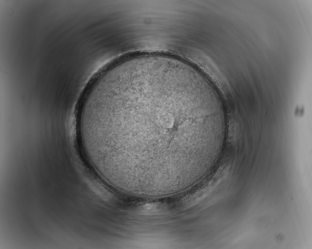 X0000103160584200808221356