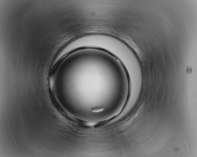 X0000103160585200808221356