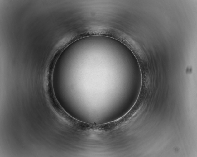 X0000103160586200808221356