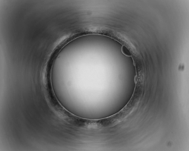 X0000103160587200808221356