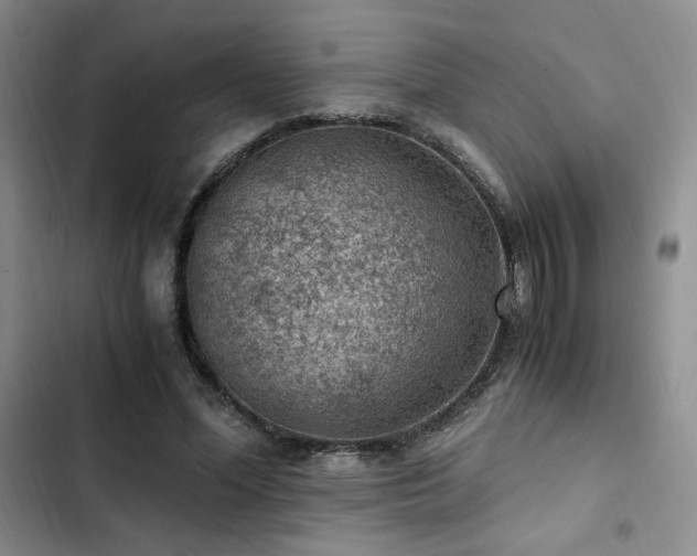 X0000103160588200808221356