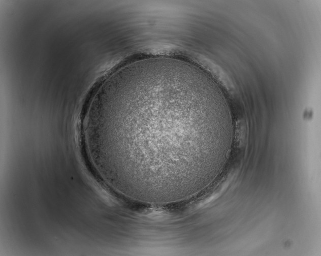 X0000103160589200808221356