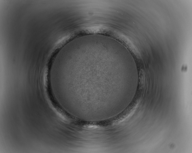 X0000103160590200808221356
