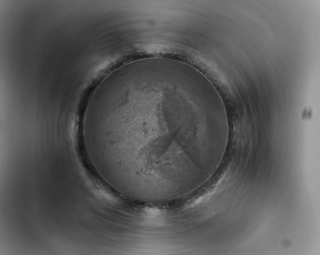 X0000103160592200808221356