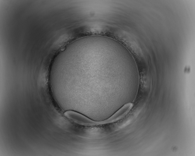 X0000103160593200808221356