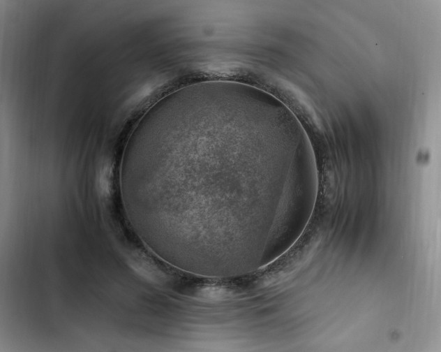 X0000103160596200808221356