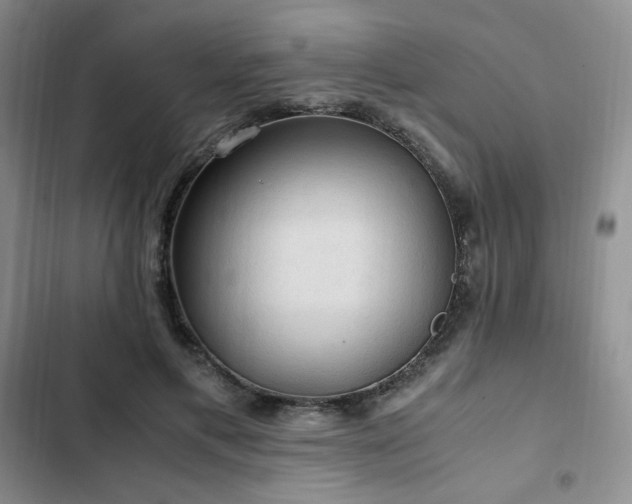 X0000103160597200808221356