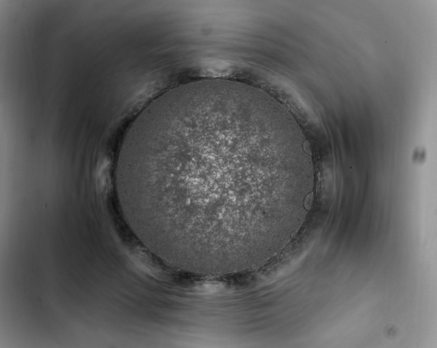 X0000103160598200808221356