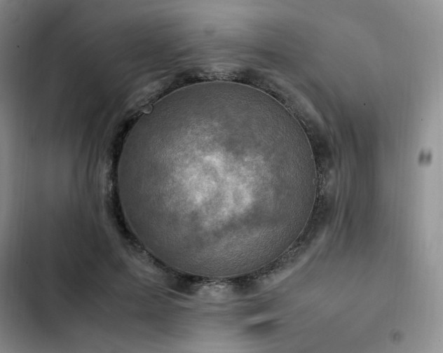 X0000103160599200808221356