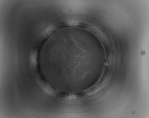 X0000103160600200808221356
