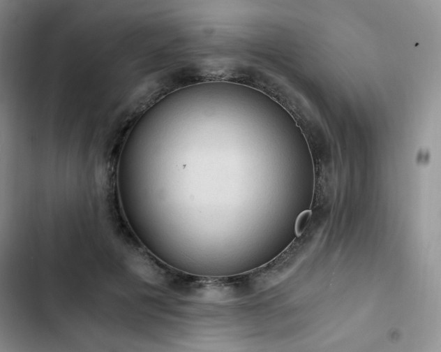 X0000103160601200808221356
