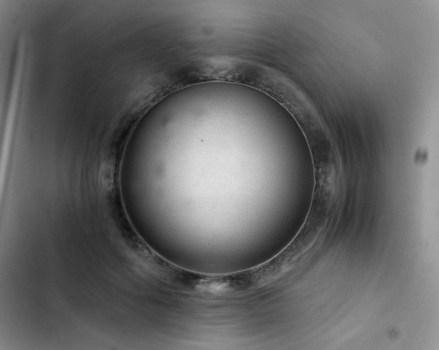 X0000103160602200808221356