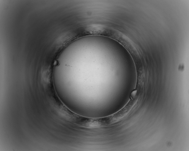 X0000103160604200808221356