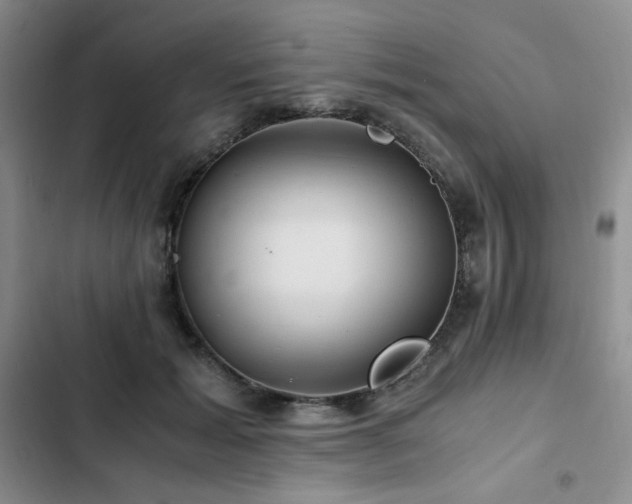 X0000103160605200808221356