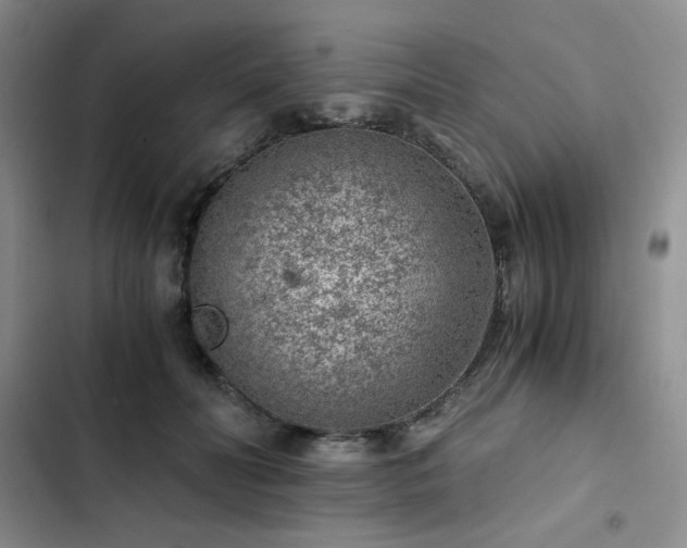 X0000103160606200808221356