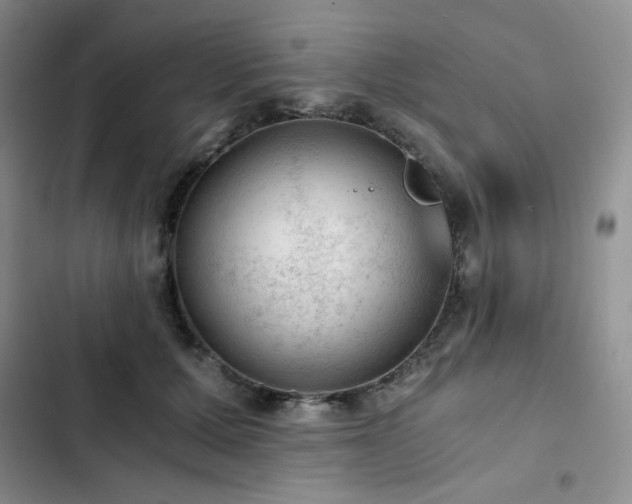 X0000103160607200808221356