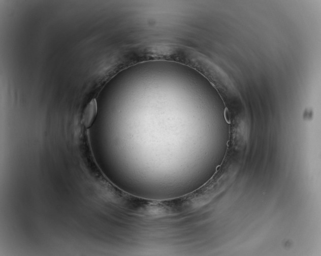 X0000103160608200808221356