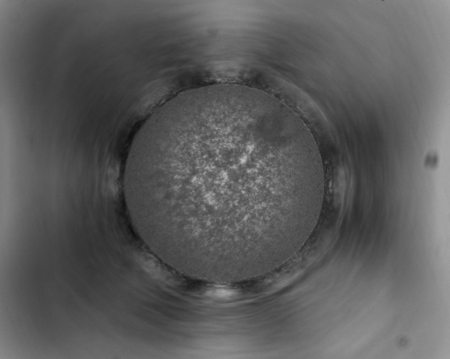 X0000103160610200808221356