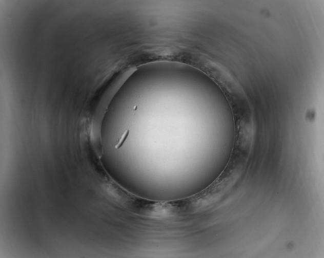 X0000103160612200808221356
