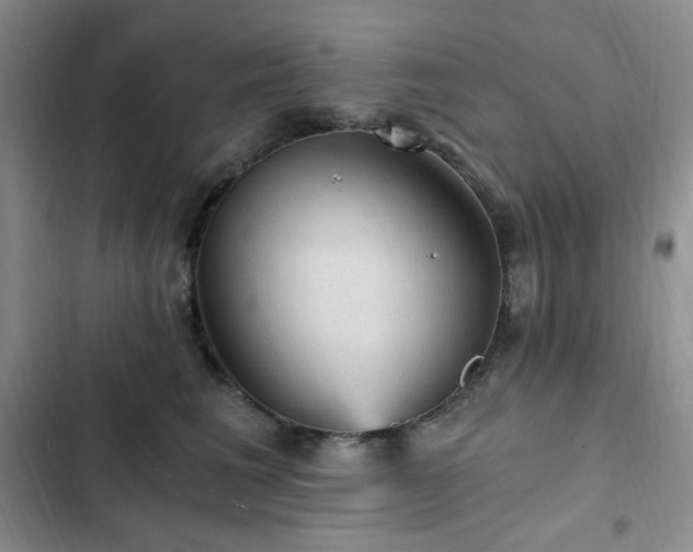 X0000103160613200808221356