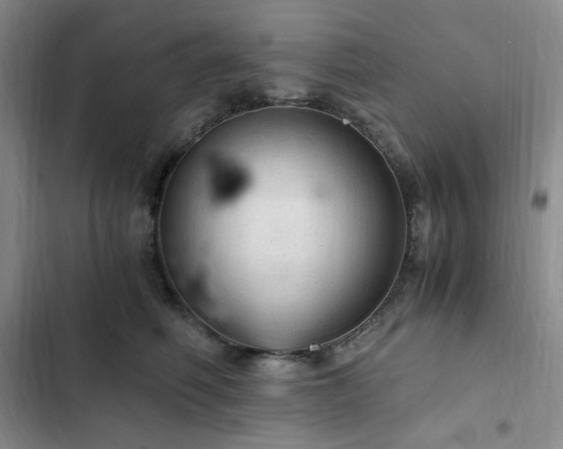 X0000103160614200808221356