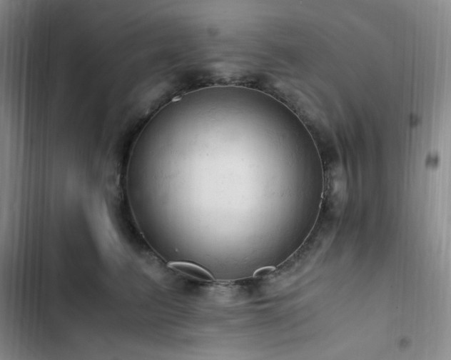 X0000103160615200808221356