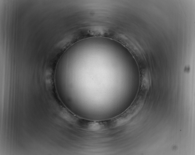 X0000103160616200808221356
