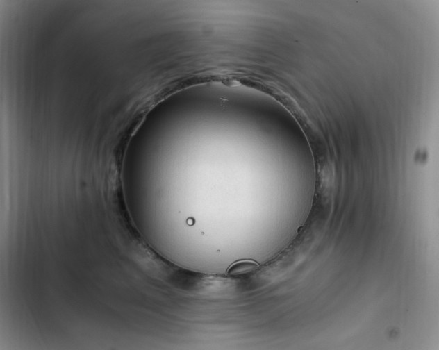 X0000103160617200808221356