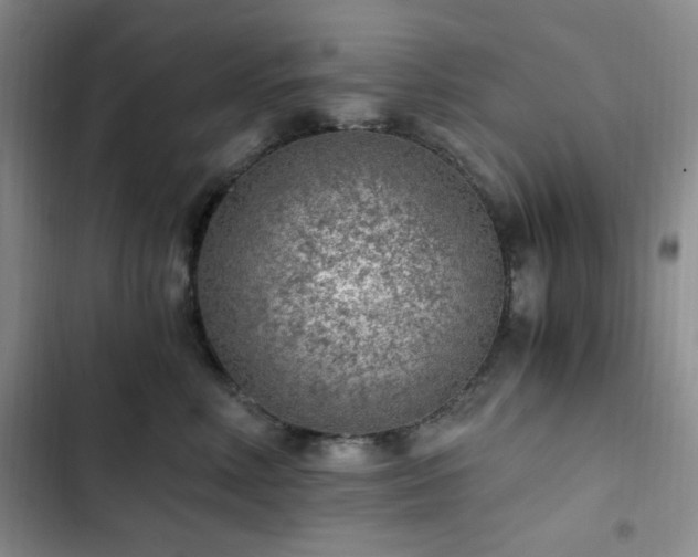 X0000103160618200808221356