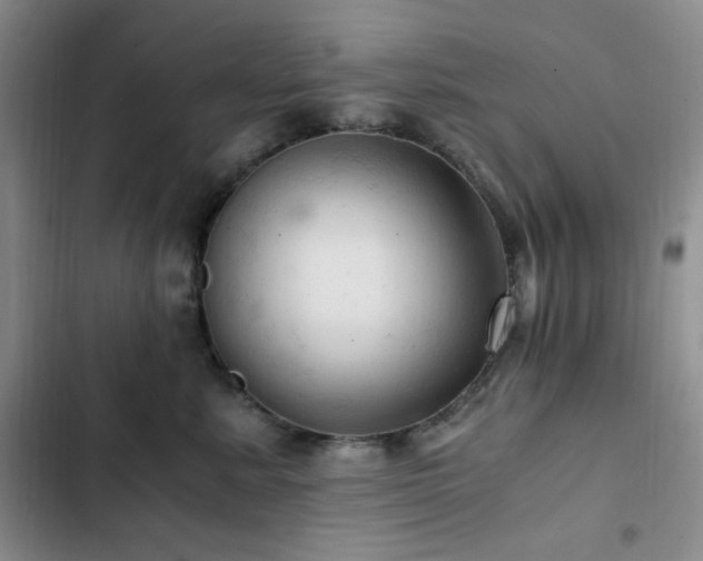 X0000103160619200808221356