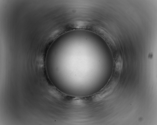 X0000103160620200808221356