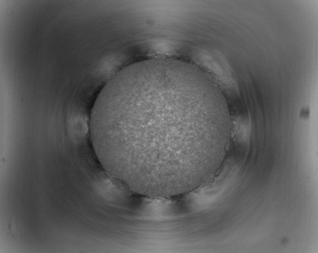 X0000103160621200808221356