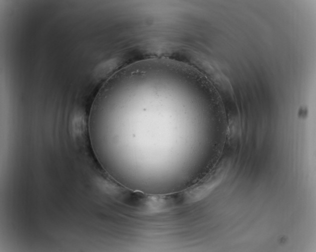 X0000103160623200808221356