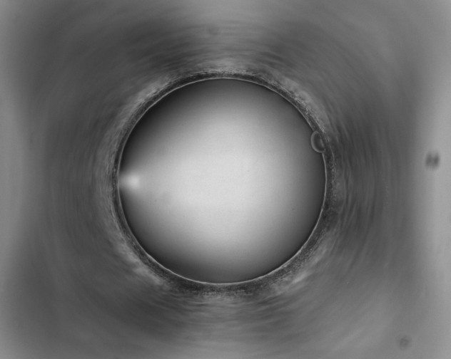 X0000103160625200808221355