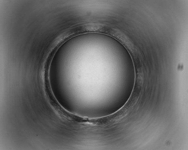 X0000103160626200808221355